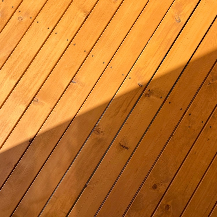 Just another WordPress site